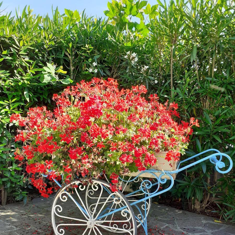 Hotel Garden B&B Маротта Екстер'єр фото